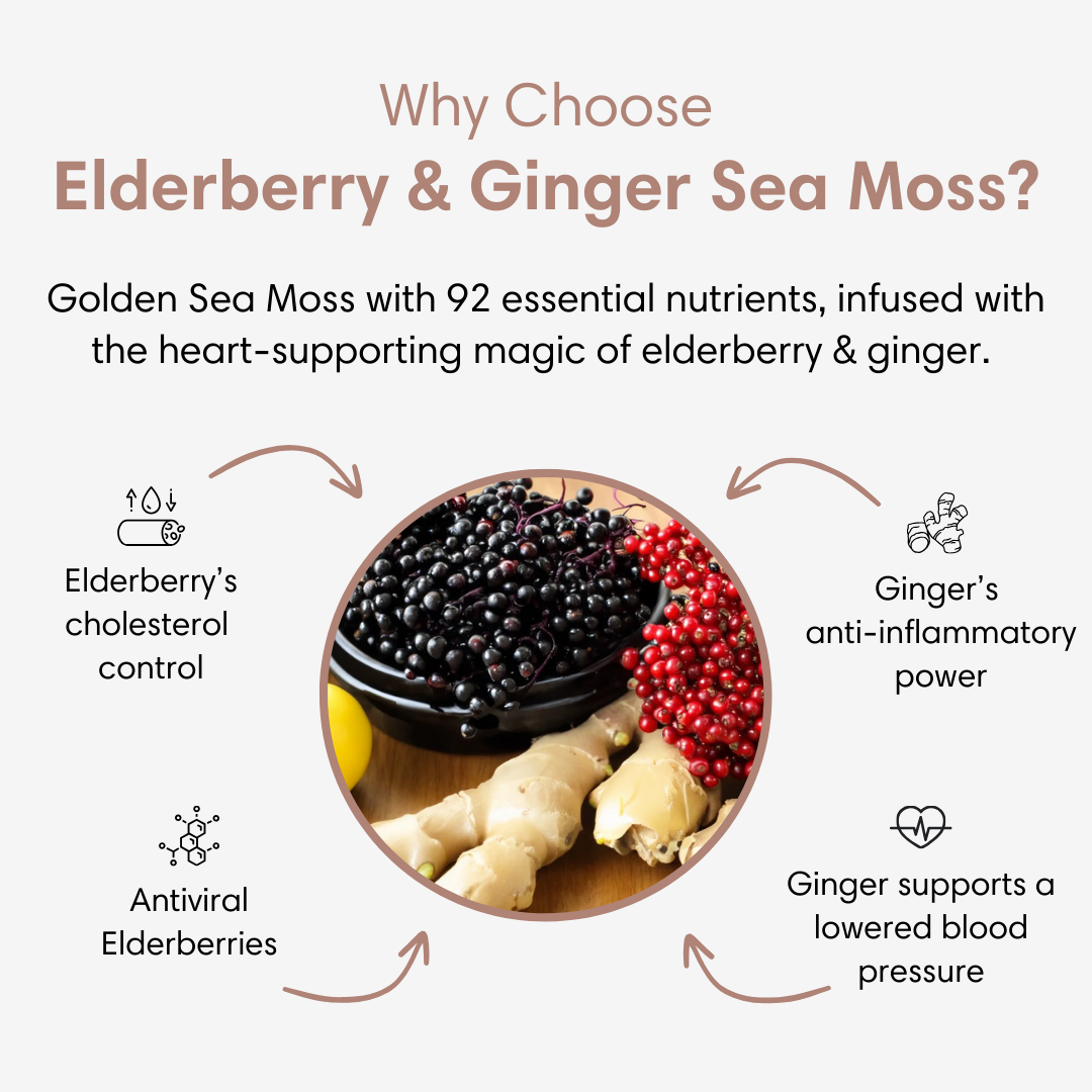 Sea Moss Gel with Elderberry + Ginger