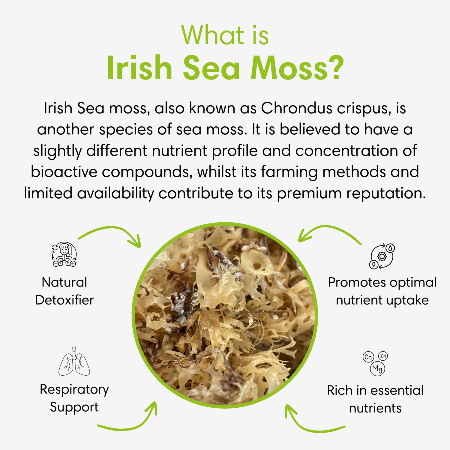 Irish Sea Moss Gel